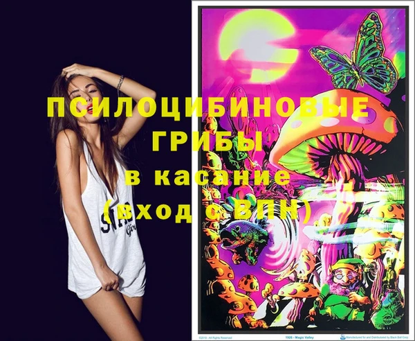 ПСИЛОЦИБИНОВЫЕ ГРИБЫ Балабаново