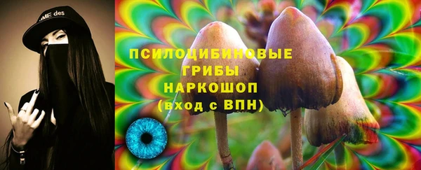 ПСИЛОЦИБИНОВЫЕ ГРИБЫ Балабаново