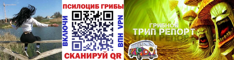 Псилоцибиновые грибы GOLDEN TEACHER  кракен онион  Карталы  купить закладку 